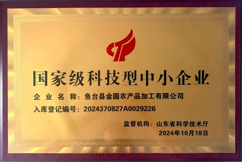 国家级科技型中小企业